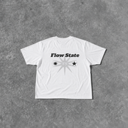 Flux estel·lar